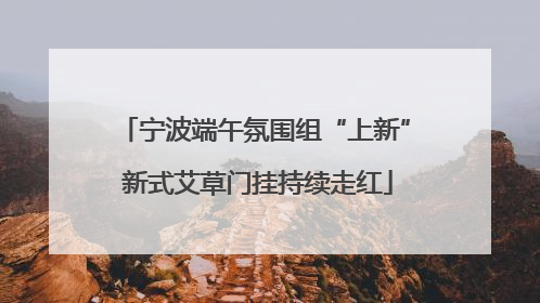 宁波端午氛围组“上新” 新式艾草门挂持续走红