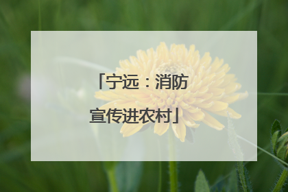 宁远：消防宣传进农村