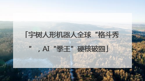 宇树人形机器人全球“格斗秀”，AI“拳王”硬核破圈