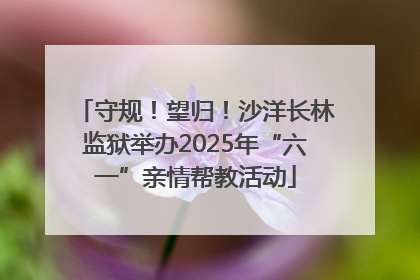 守规！望归！沙洋长林监狱举办2025年“六一”亲情帮教活动