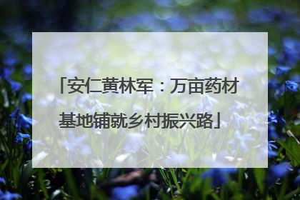 安仁黄林军：万亩药材基地铺就乡村振兴路