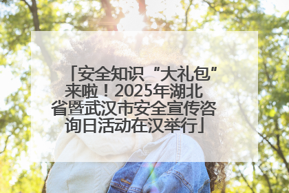 安全知识“大礼包”来啦！2025年湖北省暨武汉市安全宣传咨询日活动在汉举行