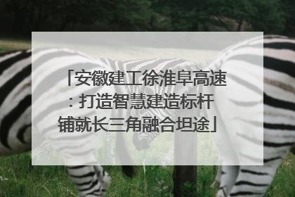 安徽建工徐淮阜高速：打造智慧建造标杆 铺就长三角融合坦途