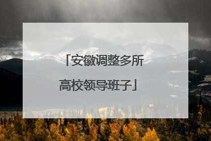 安徽调整多所高校领导班子