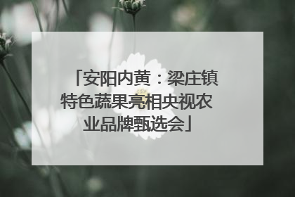 安阳内黄：梁庄镇特色蔬果亮相央视农业品牌甄选会