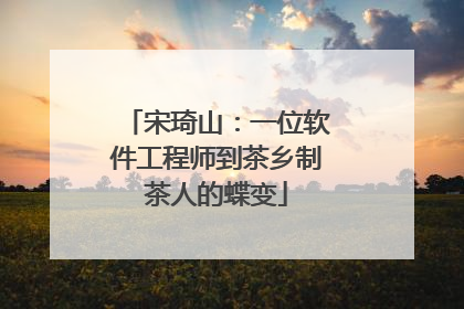宋琦山：一位软件工程师到茶乡制茶人的蝶变