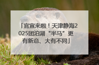 官宣来啦！天津静海2025团泊湖“半马”更有新意、大有不同