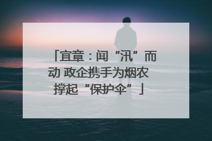 宜章：闻“汛”而动 政企携手为烟农撑起“保护伞”