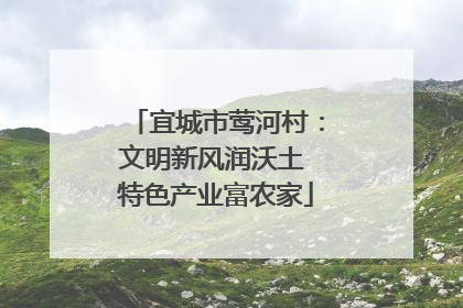 宜城市莺河村：文明新风润沃土 特色产业富农家