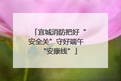 宜城消防把好“安全关”守好端午“安康线”