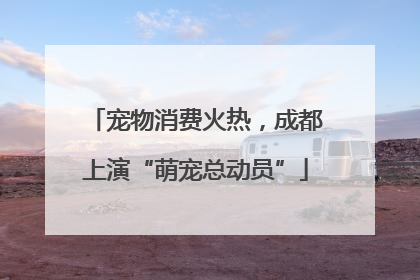 宠物消费火热，成都上演“萌宠总动员”