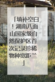 填补空白！湖南八面山国家级自然保护区首次记录珍稀物种宽距兰