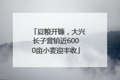 夏粮开镰，大兴长子营镇近6000亩小麦迎丰收