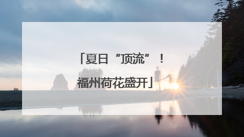 夏日“顶流”！福州荷花盛开