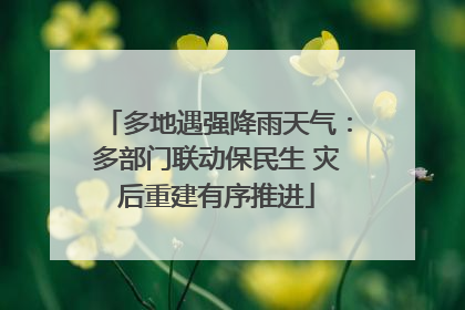 多地遇强降雨天气：多部门联动保民生 灾后重建有序推进