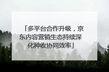 多平台合作升级，京东内容营销生态持续深化种收协同效率