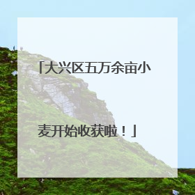 大兴区五万余亩小麦开始收获啦！