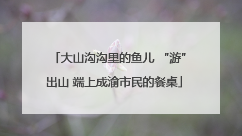 大山沟沟里的鱼儿 “游”出山 端上成渝市民的餐桌