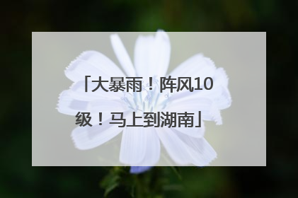大暴雨！阵风10级！马上到湖南