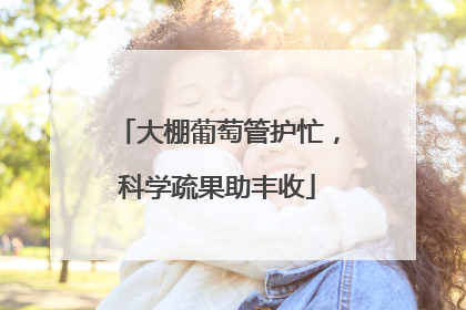 大棚葡萄管护忙，科学疏果助丰收