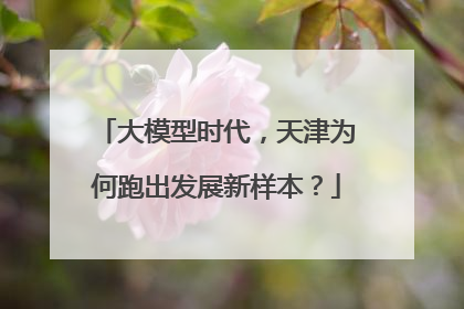 大模型时代，天津为何跑出发展新样本？