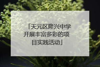 天元区隆兴中学开展丰富多彩的项目实践活动