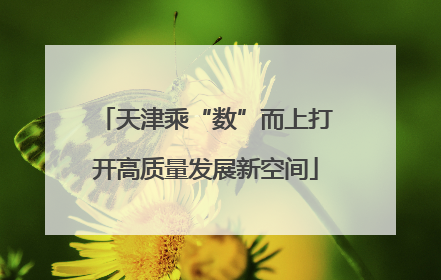 天津乘“数”而上打开高质量发展新空间