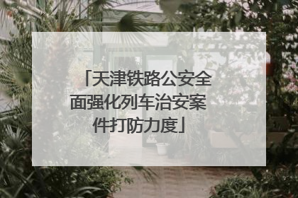 天津铁路公安全面强化列车治安案件打防力度