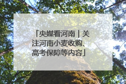 央媒看河南｜关注河南小麦收购、高考保障等内容