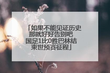 如果不能见证历史 那就好好告别吧 国足1比0胜巴林结束世预赛征程