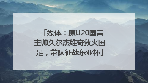 媒体：原U20国青主帅久尔杰维奇救火国足，带队征战东亚杯