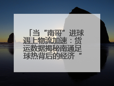 当“南哥”进球遇上物流加速：货运数据揭秘南通足球热背后的经济“射门”