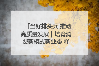 当好排头兵 推动高质量发展｜培育消费新模式新业态 释放经济增长新动能