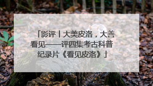 影评丨大美皮洛，大善看见——评四集考古科普纪录片《看见皮洛》