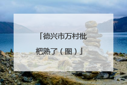 德兴市万村枇杷熟了（图）