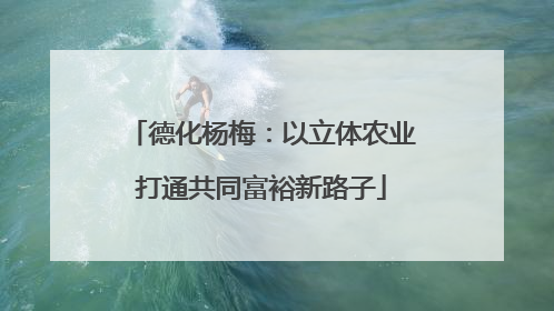 德化杨梅：以立体农业打通共同富裕新路子