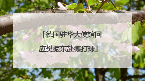 德国驻华大使馆回应樊振东赴德打球