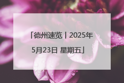 德州速览丨2025年5月23日 星期五