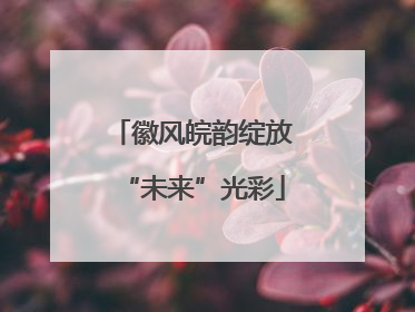 徽风皖韵绽放“未来”光彩