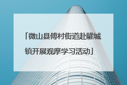 微山县傅村街道赴驩城镇开展观摩学习活动