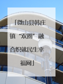 微山县韩庄镇“双圈”融合织就民生幸福网