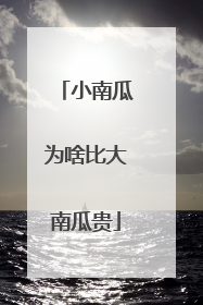 小南瓜为啥比大南瓜贵