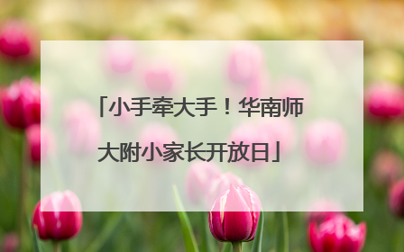 小手牵大手！华南师大附小家长开放日
