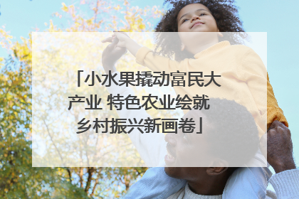 小水果撬动富民大产业 特色农业绘就乡村振兴新画卷