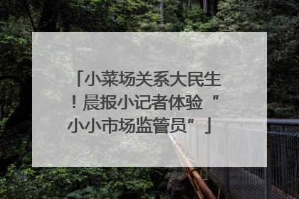 小菜场关系大民生！晨报小记者体验“小小市场监管员”
