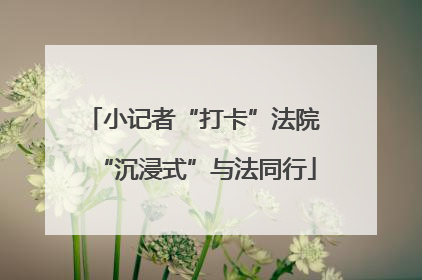 小记者“打卡”法院 “沉浸式”与法同行