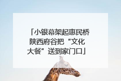 小银幕架起惠民桥 陕西府谷把“文化大餐”送到家门口