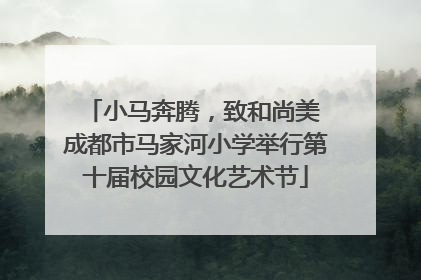 小马奔腾，致和尚美 成都市马家河小学举行第十届校园文化艺术节