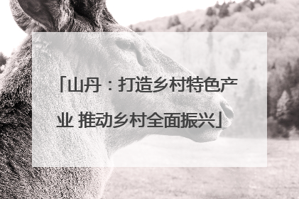 山丹：打造乡村特色产业 推动乡村全面振兴