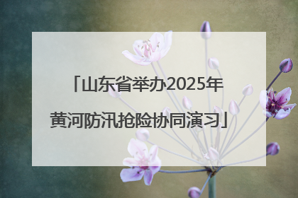 山东省举办2025年黄河防汛抢险协同演习